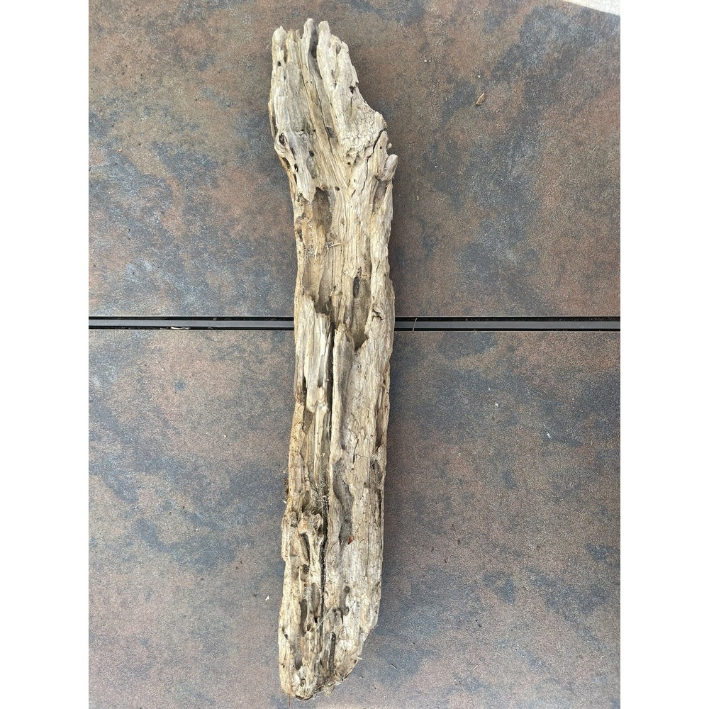 Natural Driftwood for Plants Terrarium Taxidermy Art Projects